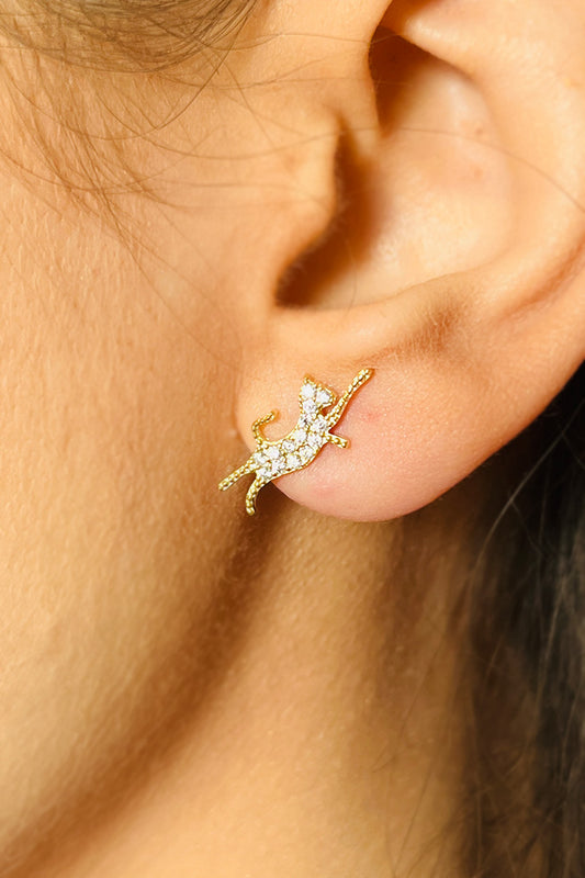 قرط قطط ذو جوانب مختلفة