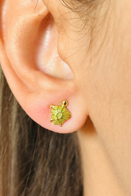 قرط سلحفاة متعدد الألوان